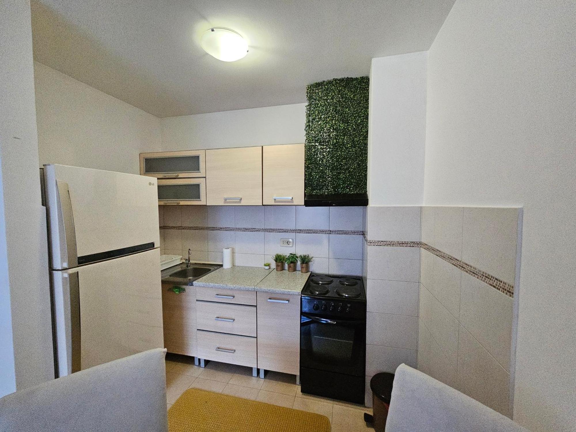 Luca Apartman ポドゴリツァ エクステリア 写真